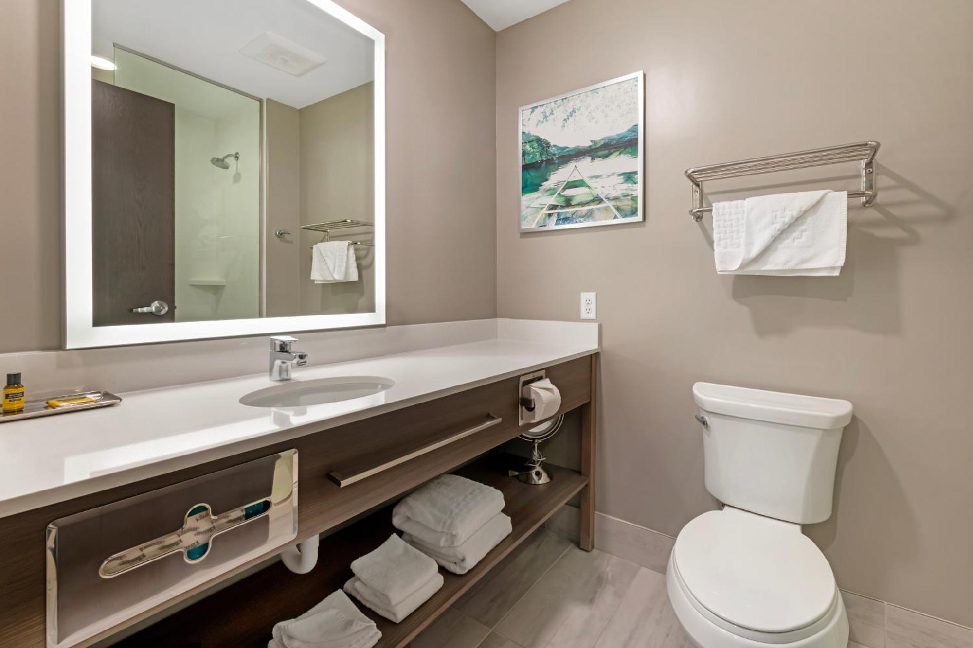 Best Western Plus Grand Rapids Mn מראה חיצוני תמונה